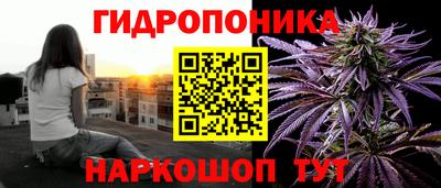 шишки Краснодар