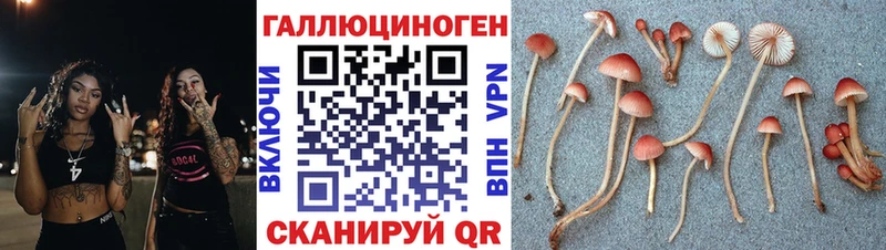 МЕГА зеркало  Котлас  Галлюциногенные грибы прущие грибы 