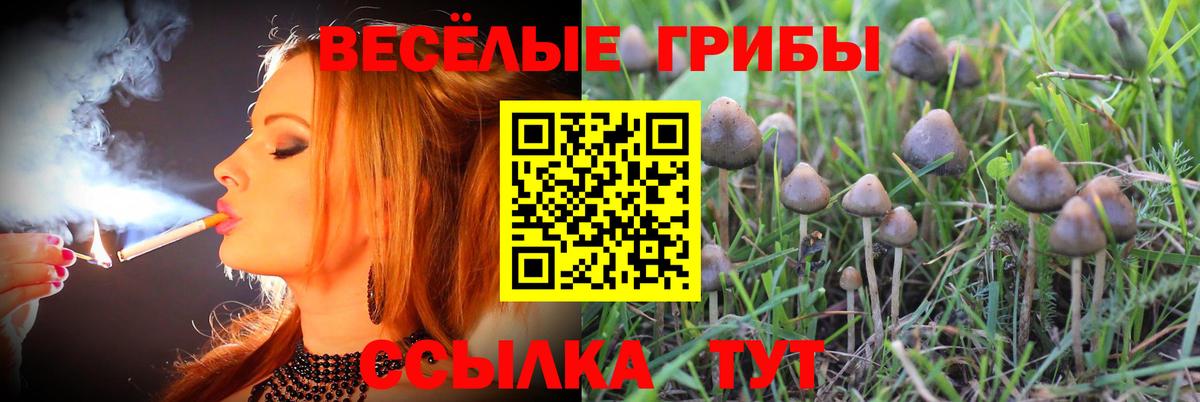 Псилоцибиновые грибы прущие грибы  Вход с VPN  Котлас 