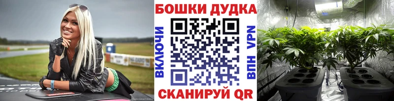 Каннабис индика  Котлас 